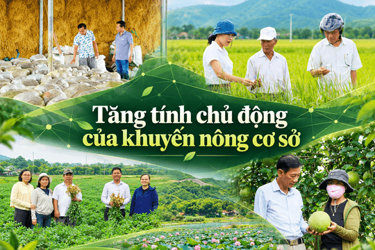 Tăng tính chủ động của khuyến nông cơ sở