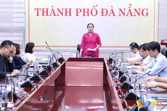 Đồng ý chủ trương khai thác dịch vụ đêm tại bãi biển Mỹ Khê