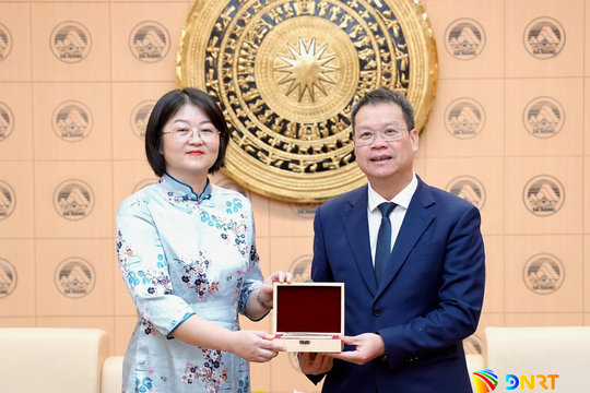 Thúc đẩy hợp tác thiết thực giữa Đà Nẵng với các địa phương Trung Quốc