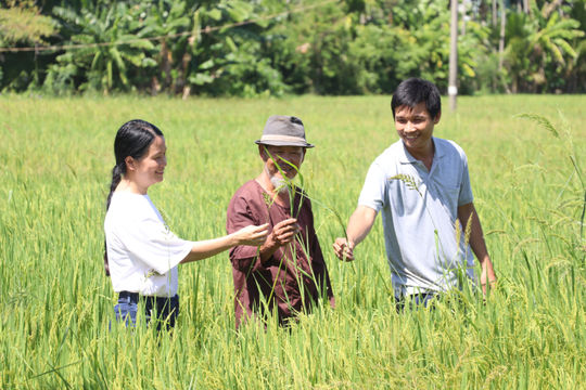 Gìn giữ giá trị bản địa, mở hướng sinh kế xanh
