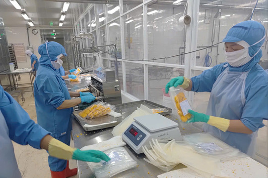 Vietnam's trade turnover surpasses US$1 trillion threshold for first time