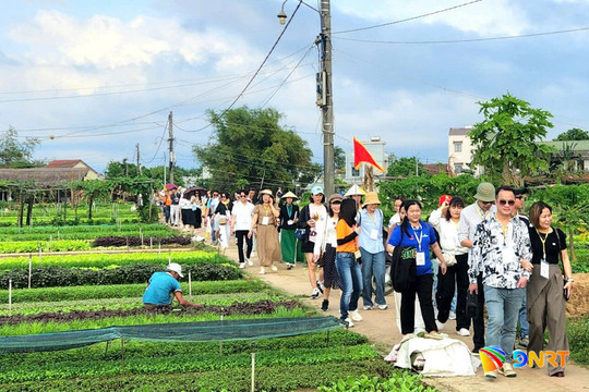 Da Nang seeks to boost tourist spending through new tourism products