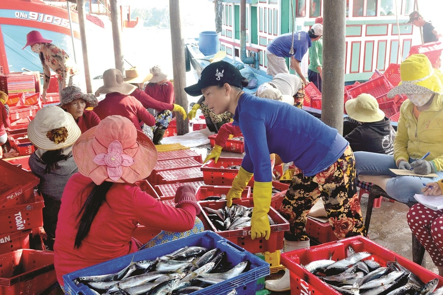 Tổ chức lại nghề cá theo hướng bền vững