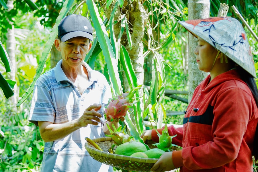 Trợ sức cho sản phẩm "made in" Phú Ninh