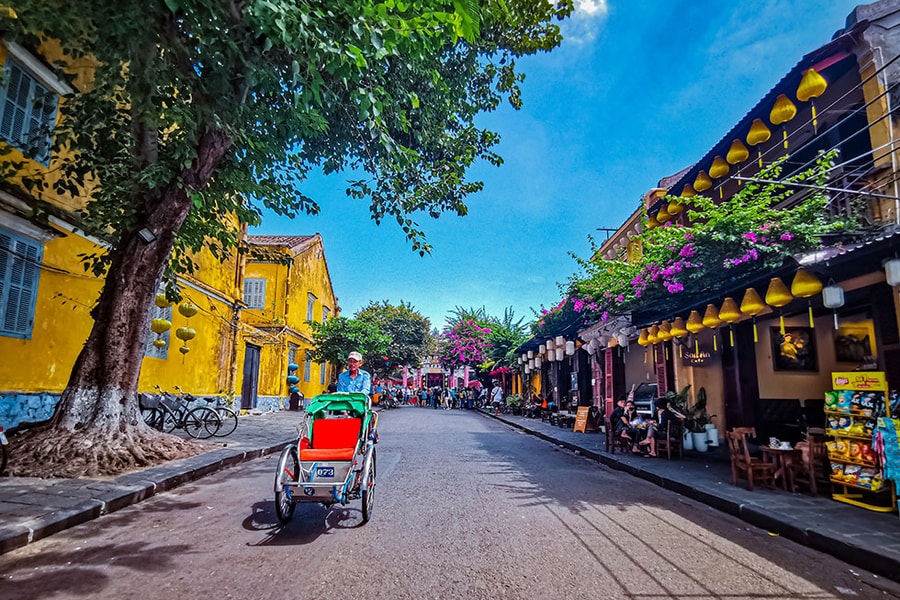 Nghĩ về loài hoa đặc trưng cho Đà Nẵng