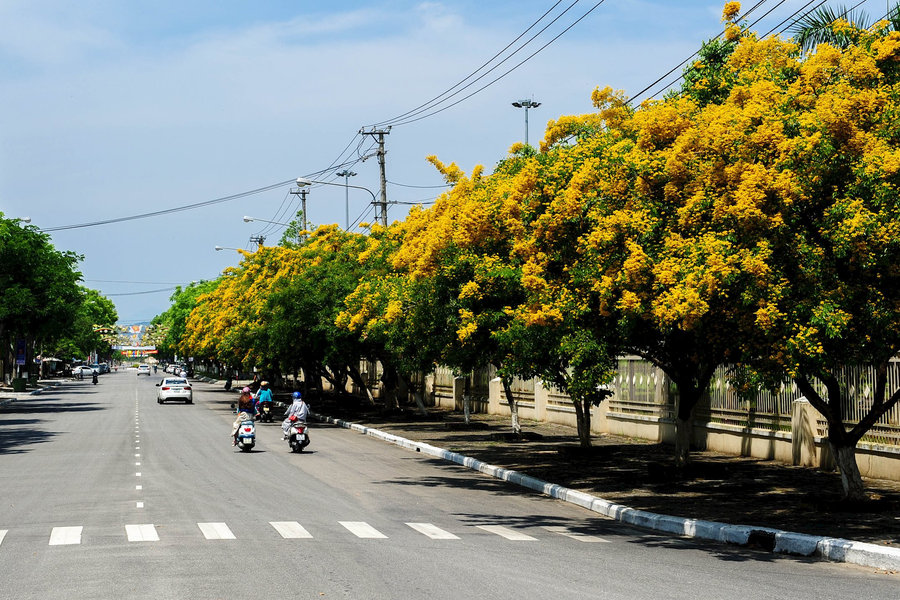 Vùng đất từ những cuộc cộng cư