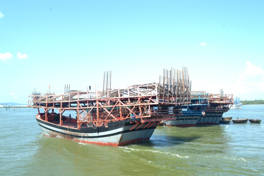 Tăng cường chống khai thác hải sản bất hợp pháp
