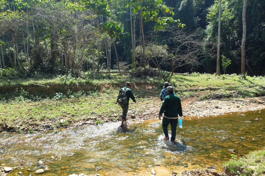 Chuyến tuần tra rừng cuối năm