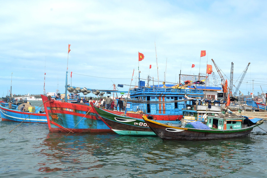 Tăng cường theo dõi, quản lý tàu cá không đủ điều kiện khai thác thủy sản