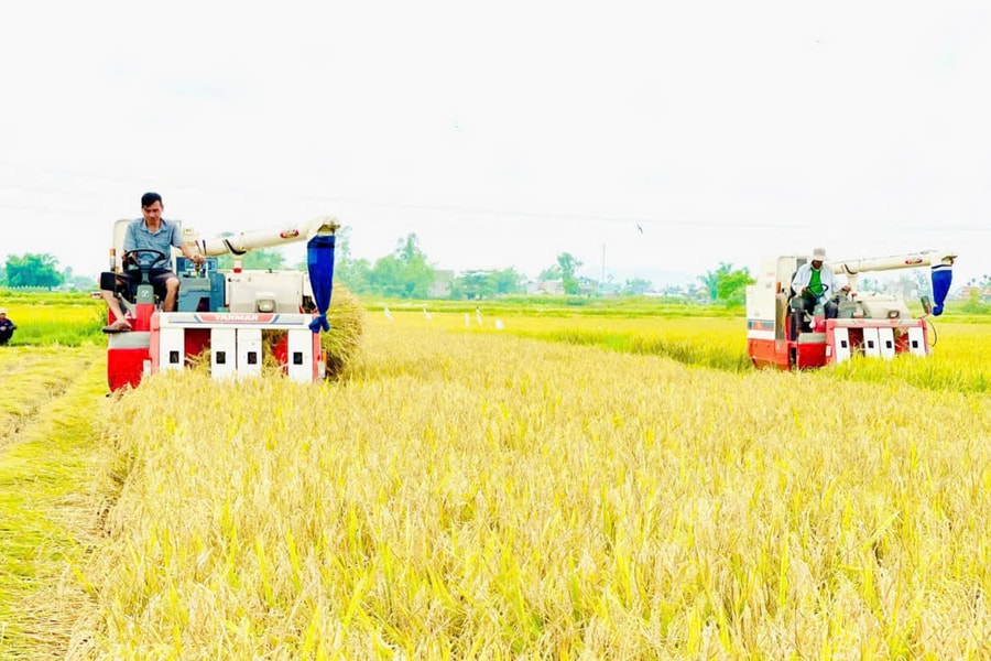 Giao hòa núi, đồng, sông, biển...