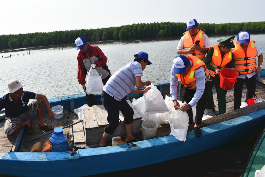 Đà Nẵng triển khai bảo vệ, tái tạo nguồn lợi thủy sản