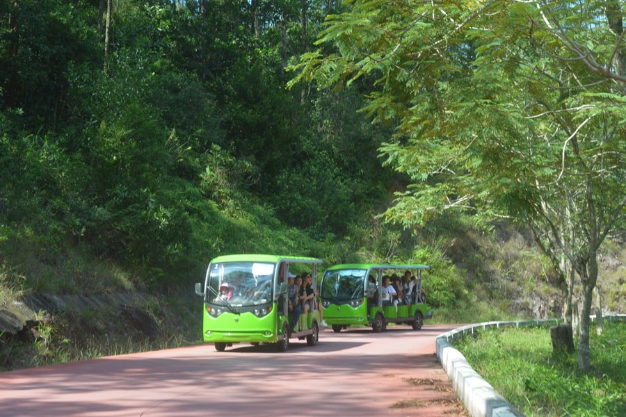 Đề nghị Nhật Bản hỗ trợ xây dựng tuyến tàu điện trung chuyển khách vào di tích Mỹ Sơn