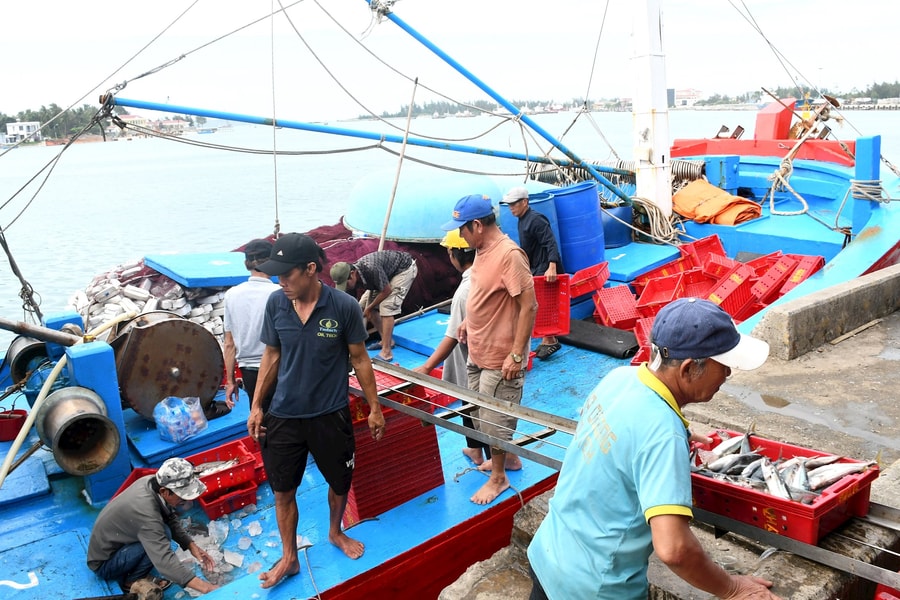 Tái cơ cấu đội tàu đánh bắt, Quảng Nam tăng hiệu quả khai thác hải sản