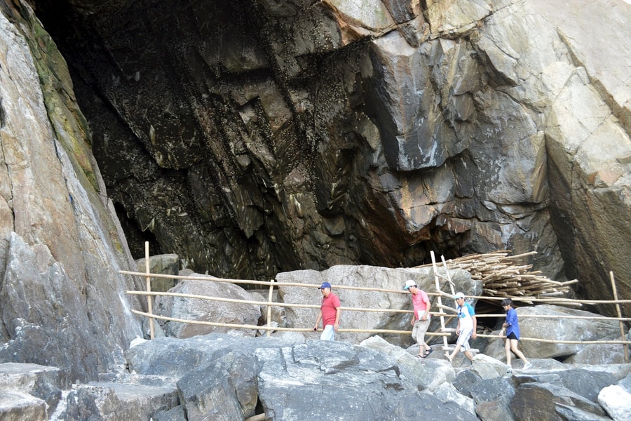 Loay hoay giữ đàn chim yến Cù Lao Chàm