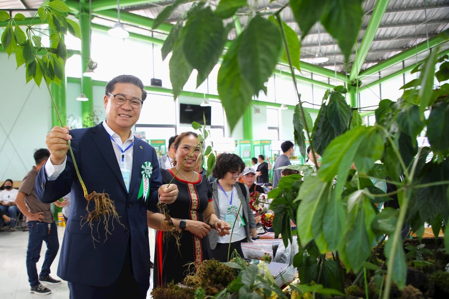 Triển khai chương trình phát triển sản phẩm sâm Ngọc Linh và dược liệu