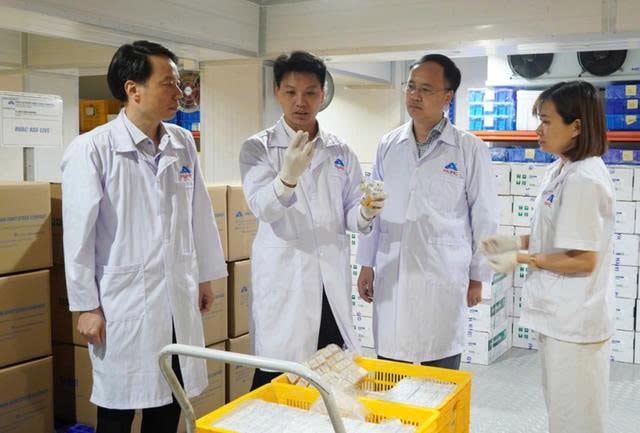 Seoul Food expo sees biggest-ever Vietnamese business presence