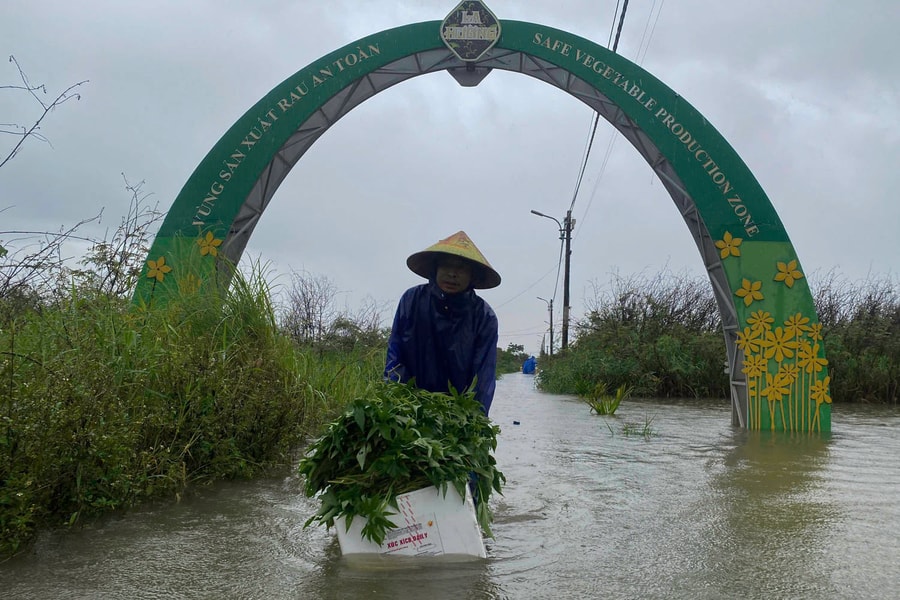 Hướng dẫn chăm sóc cây trồng do ảnh hưởng bởi cơn bão số 1