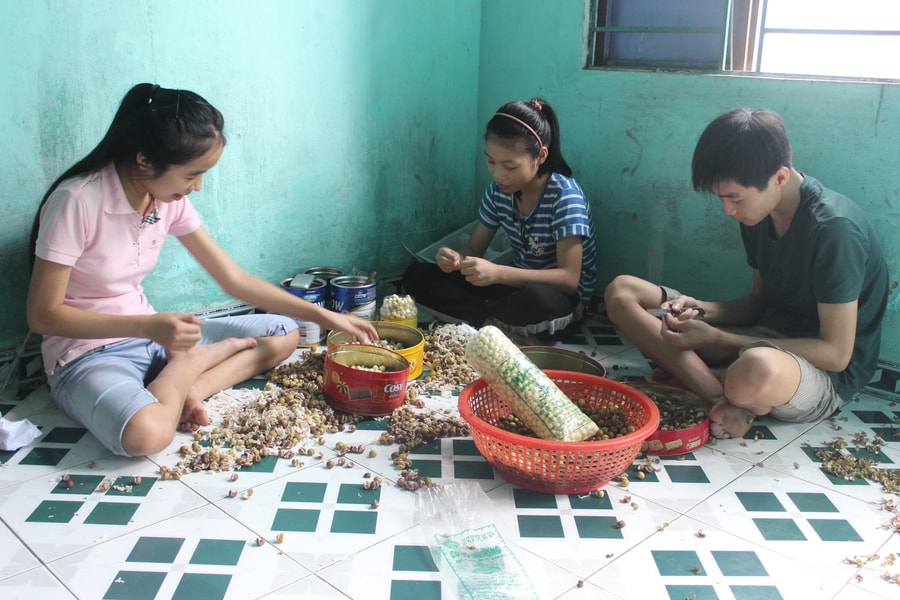Kiếm thêm thu nhập từ bóc vỏ hạt sen