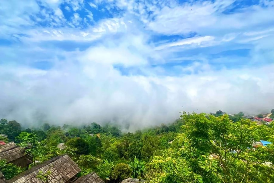 Vẽ ta