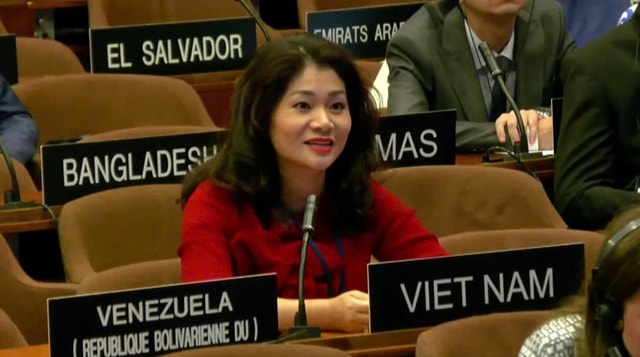Viet Nam elected to UNESCO culture diversity committee for third time