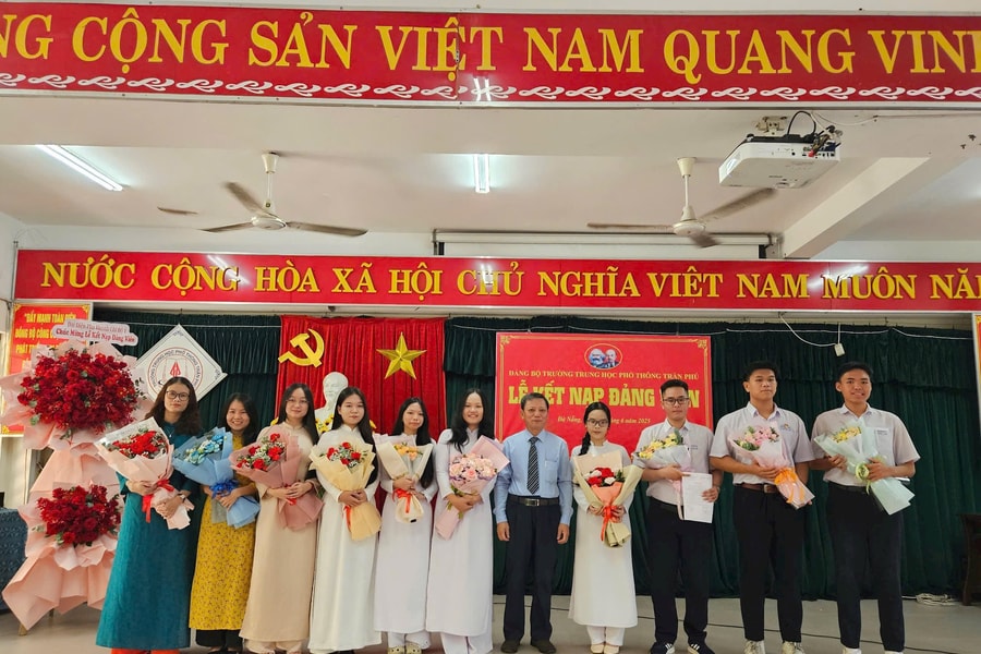 Khi hạt giống đỏ nảy mầm từ mái trường