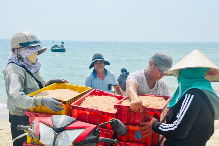 "Lộc" ruốc cuối mùa