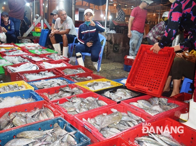 Triển khai đề án quản lý tổng thể cảng cá, chợ đầu mối thủy sản Thọ Quang gắn với du lịch, dịch vụ