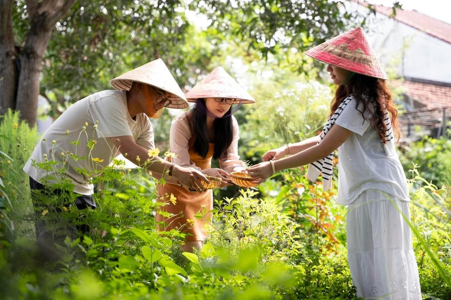 Lan tỏa nguồn năng lượng xanh