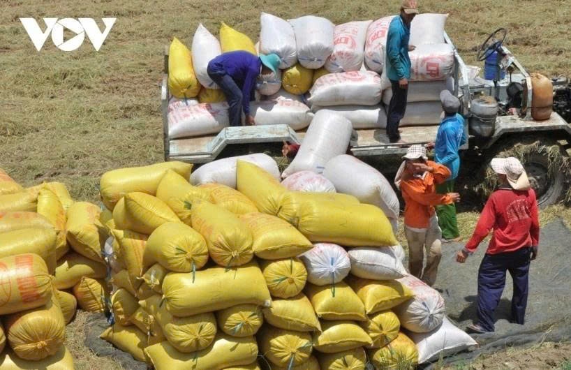 Rice industry sets sights on US$5.7 billion export target amid price pressure