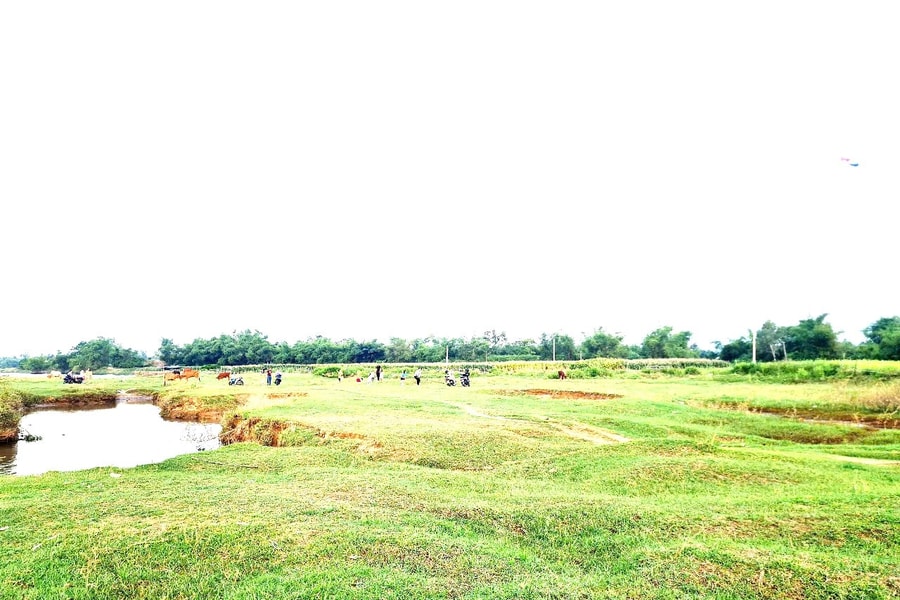 Allure of Da Nang's hidden 'green oases'