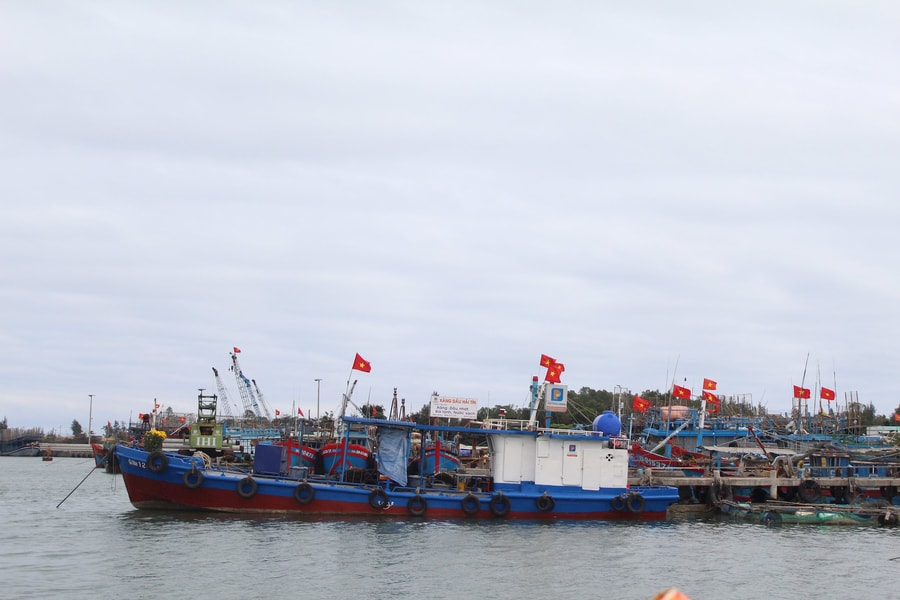 Núi Thành phát huy thế mạnh nghề biển