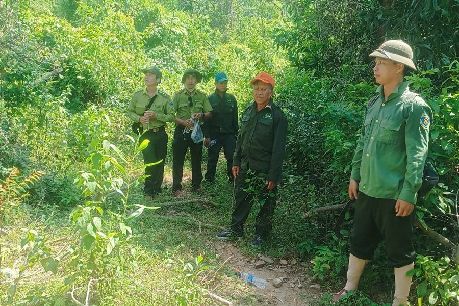 Chủ động quản lý, bảo vệ rừng