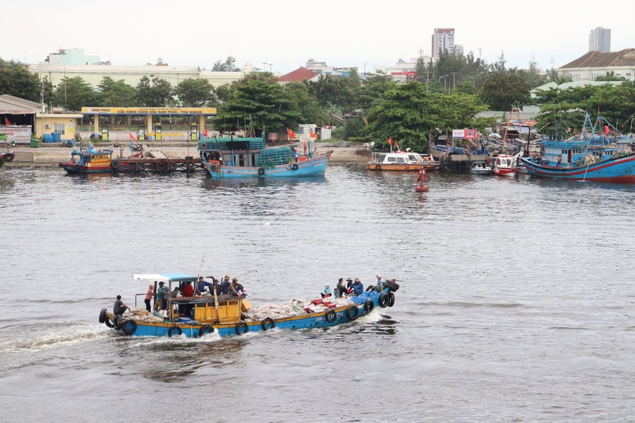 Chung tay gỡ “thẻ vàng” thủy sản