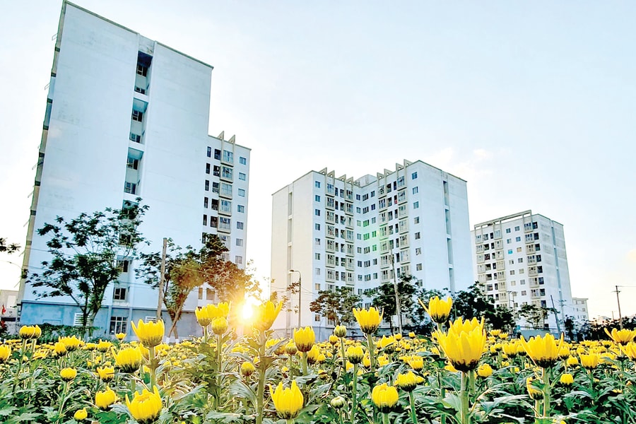 “Gieo mầm” ứng xử đẹp từ không gian thang máy