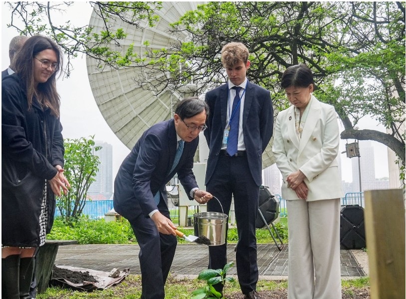 Những cây xanh bất tử ở Hiroshima