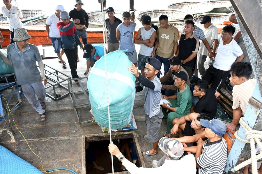 Đà Nẵng chung tay cùng cả nước gỡ “thẻ vàng” thủy sản