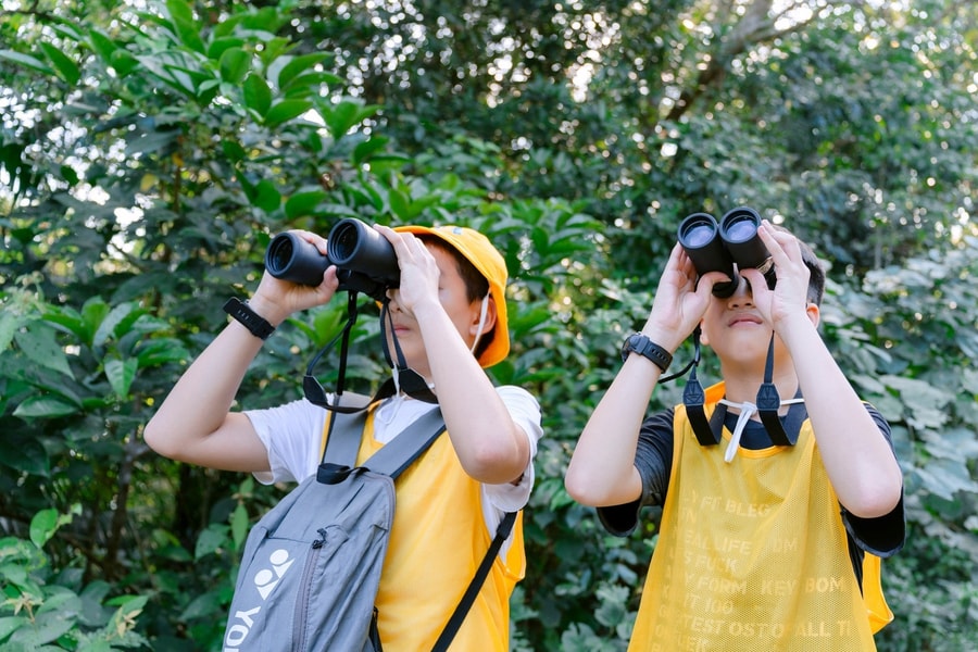 Bảo vệ rừng bền vững