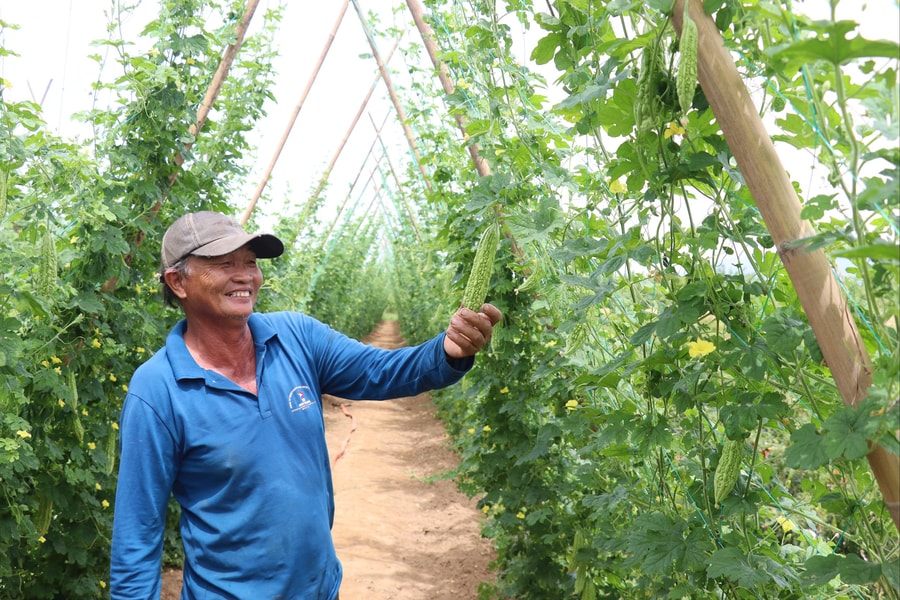 Phát triển kinh tế vườn nâng cao đời sống người dân