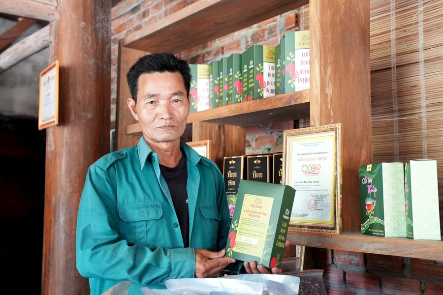 Hương vị trà hoa hồng trên đất Sông Vàng