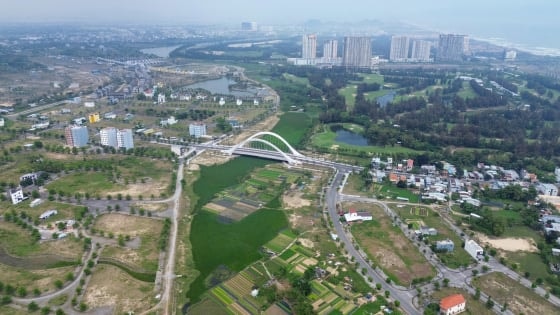 "Đất là nơi chim về"…