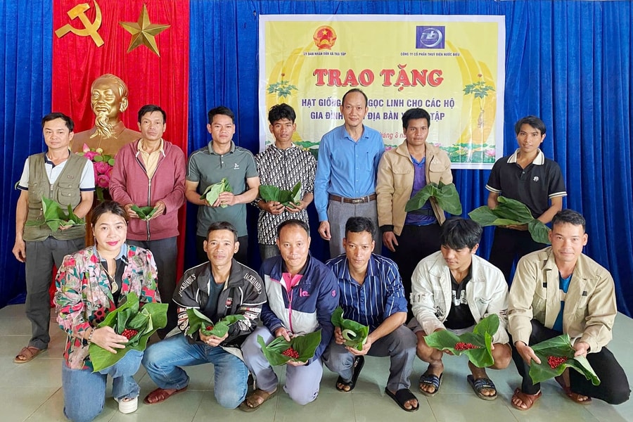 Tặng 3.000 hạt sâm Ngọc Linh giống cho người dân xã Trà Tập
