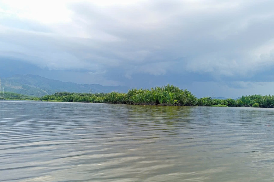 Efforts to conserve ecosystems and biodiversity in southern Da Nang