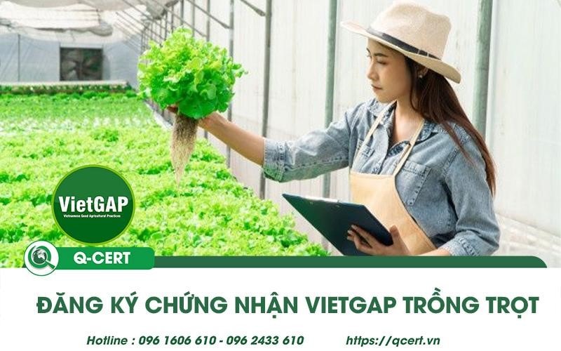Chứng nhận VietGAP trồng trọt: Tầm quan trọng và quy trình chứng nhận
