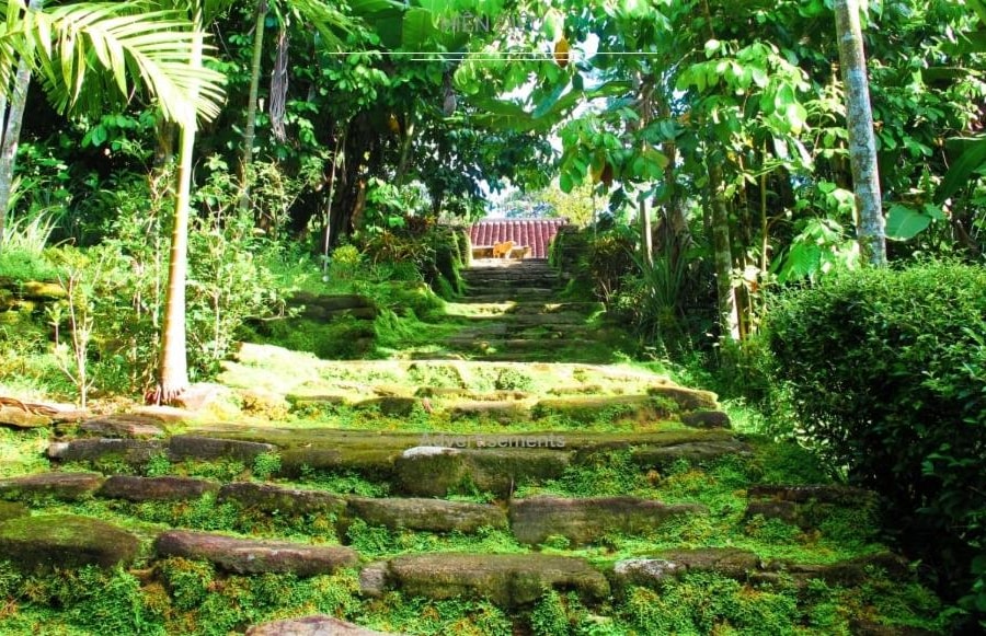 Chuyện của đá
