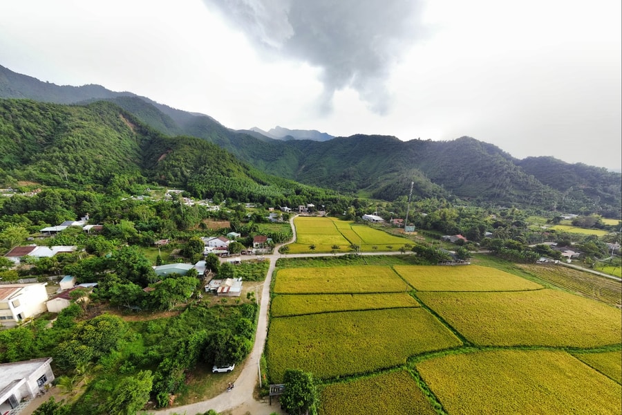 Tăng cường các giải pháp ổn định thị trường gạo