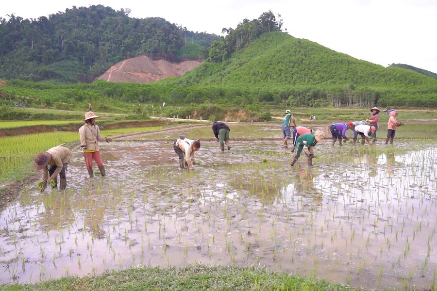 Động lực phát triển miền núi: Trợ lực từ chính sách