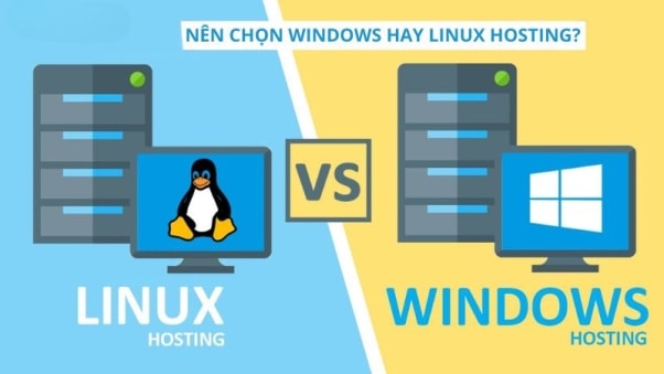 Linux và Windows Hosting: Nhân Hòa khẳng định vị thế lựa chọn hàng đầu