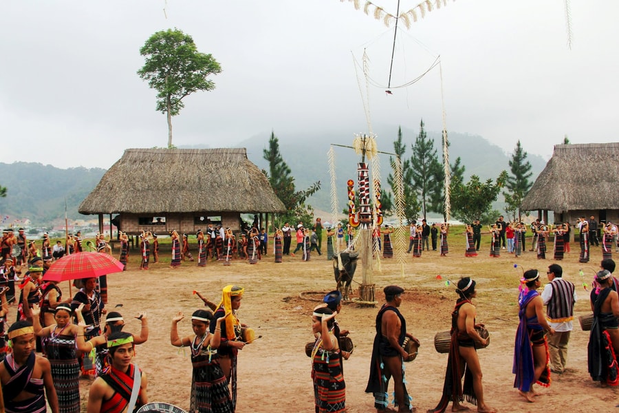 Ở phía xa xanh