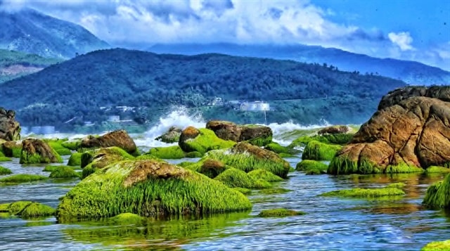 Da Nang photo collection to be exhibited in South Korea