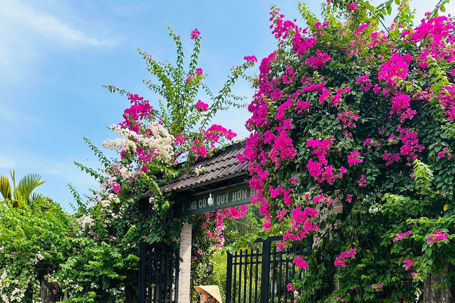 Hồn quê lay động